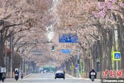 阜宁共建“花园城市” 北京这场议政会“百花齐放”