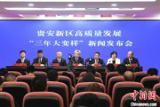 阜宁贵安新区：突出算力优势布局 构建中国领先的智算高地